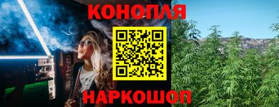 амф Гусев