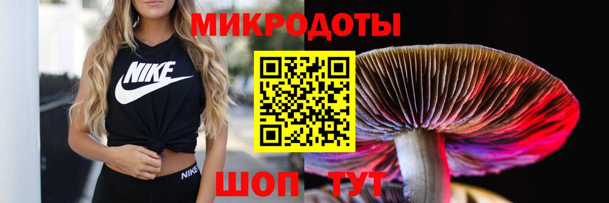 Лениногорск  Псилоцибиновые грибы Magic Shrooms  Вход с VPN 